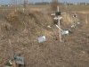 В Днепродзержинске врачи захоронили 30 мёртвых младенцев как отходы