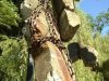 На Яновском кладбище во Львове мужчина испортил уникальную колокольню