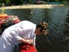 Київська санепідемстанція шукає вібріони холери у водоймах