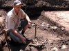 На Волыни археологи нашли братскую могилу жертв НКВД
