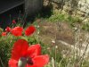 У Криму правоохоронці врятували хлопця, який впав у колекторну яму