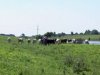 На Сумщині 68-річний дідусь загинув від удару блискавки
