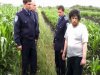 На Сумщині чоловік заколов літнє подружжя за те, що ті скривдили його собаку