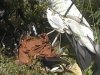 На Харківщині хлопець із дівчиною розбилися на мотодельтаплані
