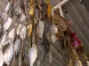 На Херсонщине массово изъяли рыбную продукцию у стихийных торговцев