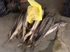 На Херсонщине рыбинспекторы охотятся на торговцев краснокнижной рыбой