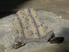 В столице во дворе жилого дома весь день пролежал труп мужчины