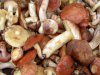 На украинских рынках немало загрязненных радионуклидами грибов