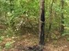 На Київщині чоловік вбив свою знайому під час заміської прогулянки