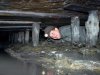 На Луганщине на шахте "Рудник" безрезультатно продолжаются поисковые работы