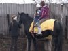 У Криму через іпотерапевтичного центру вкрали двох коней