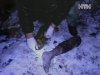 На Николаевщине работники свалки обнаружили человеческие останки