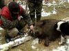На Чернігівщині три мисливця заразилися трихінельозом