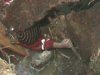 У Севастополі 7-річний хлопчик загинув у будівельній ямі