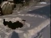 У Вінниці двоє шукачів металобрухту вбили 55-річного охоронця