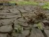 Из-за засухи в Великобритании ограничено потребление воды