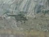 На военной базе в Пакистане продолжаются спасательные работы после схода лавины