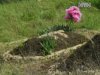 На Донеччині від ураження електричним струмом загинула дитина
