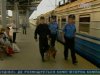 Службові собаки допомагають підтримувати порядок під час Євро