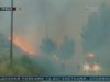 В Греции введено чрезвычайное положение из-за лесных пожаров