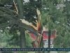 У Польщі пронеслися буревії