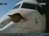 У США літак зіткнувся з птахом