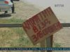 В Запорожской области введен карантин из-за чумы свиней