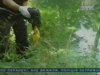 На Житомирщині п'яна породілля вбила новонародженого
