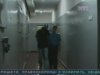 У столиці затримали банду автокрадіїв