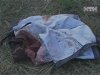 На Луганщині знайшли обезголовлений труп