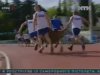 У Криму продовжуються змагання бодігардів