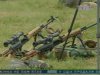 Под Киевом провели состязания снайперов