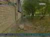 У Білій Церкві новий власник квартири знайшов дитячий труп