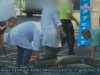 В Одессе во время соревнований ветка убила президента Федерации триатлона