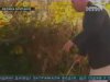Английский полицейский напал на инвалида