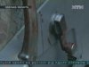 Жители Одесской области задержали грабителя фермеров
