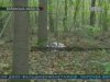 Збір грибів на Волині закінчився вбивством