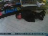 Прохожие задержали грабителя в Крыму