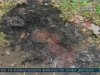 Наджорстоке вбивство у Дніпропетровську