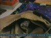 Співробітниця кримської пошти вигадала пограбування, аби приховати власну крадіжку