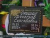 На Одещині хлопчик випадково застрелив товариша