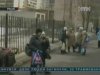 Петербурзькі школярі заразилися туберкульозом від вчительки
