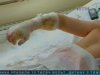 На Донеччині хлопчика вразило струмом