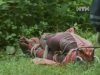 У Дніпропетровську родина загиблої звинувачує міліцію у фальсифікації справи
