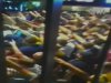 Фанатов на столичном стадионе разнимал "Беркут"