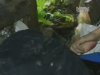 На Вінничині чоловік тільки відсидів за вбивство першої дружини, як одразу задушив другу