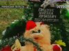 На Рівненщині дитина втонула в дренажному ставку