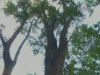 На Харьковщине парень с обрезом угнал такси