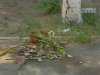 У Києві іноземець поплатився життям за жорстоке поводження з дружиною