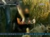 На Київщині жорстоко вбили таксиста